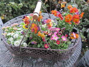 ２０１１．３ 100-1.jpg