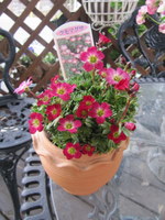 ２０１１．３ 102-1.jpg