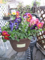 ２０１１．３ 104-1.jpg