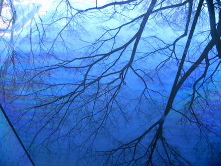 ２０１１．１ 255-1.jpg