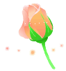 rose_008.gif