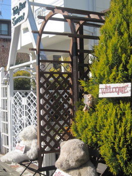 ２０１１．１ 028-1.jpg