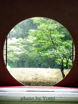 鎌倉旅その２ 円覚寺から 明月院 へ 円窓から見る緑も美しくあじさいの季節じゃなくても見どころはいっぱいです カントリーの自宅ｓｈｏｐ テディベアテラス のゆみちゃんの日記 毎日 一歩 一歩 楽天ブログ