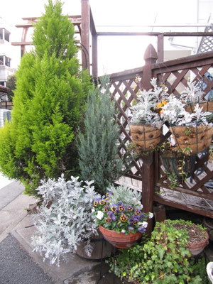 ２０１０．４ 137-1.jpg