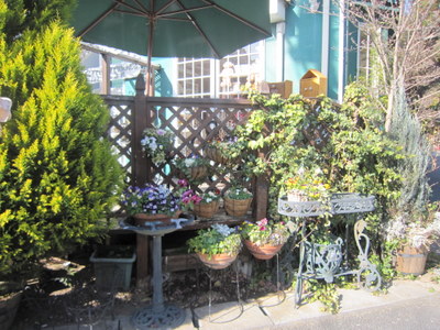 ２０１１．１ 024-1.jpg