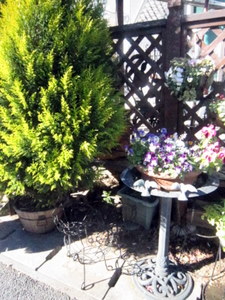 ２０１１．１ 048-1.jpg