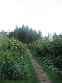 ２００９．８．２６・２７北海道 053-1.jpg