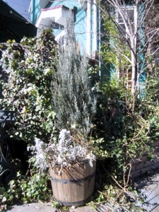 ２０１１．１ 049-1.jpg