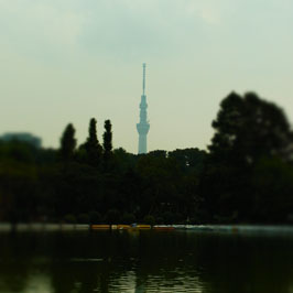 20111013c-5.jpg