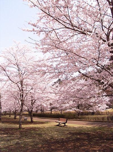 あいかわ公園２０１１