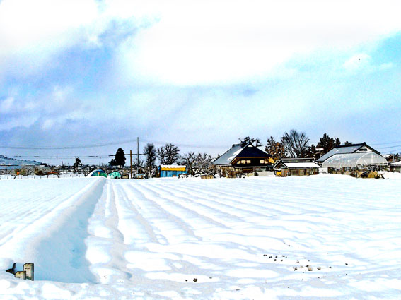 田舎の冬景色 イラスト 僕の情景 懐かし僕の情景 楽天ブログ