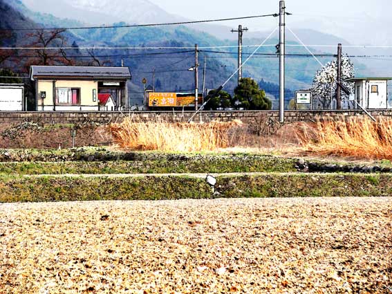 おもひでぽろぽろ 早春の高瀬駅 イラスト僕の情景 懐かし僕の情景 楽天ブログ