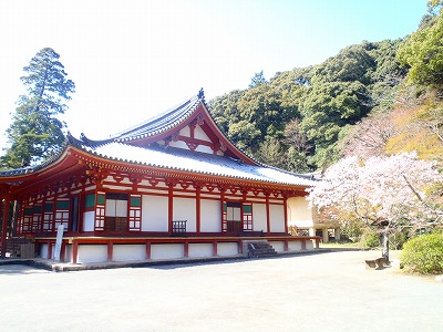 観心寺の桜08