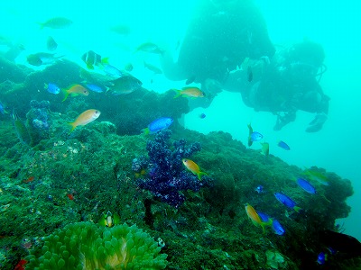 水族館2011年10月