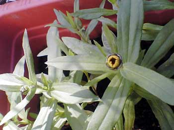 060928 011s.jpg