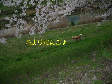 070331-1.jpg