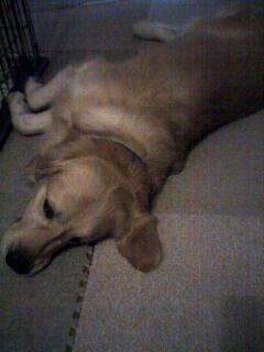 070220_2259~001.jpg