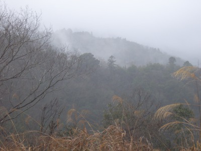 美郷の山