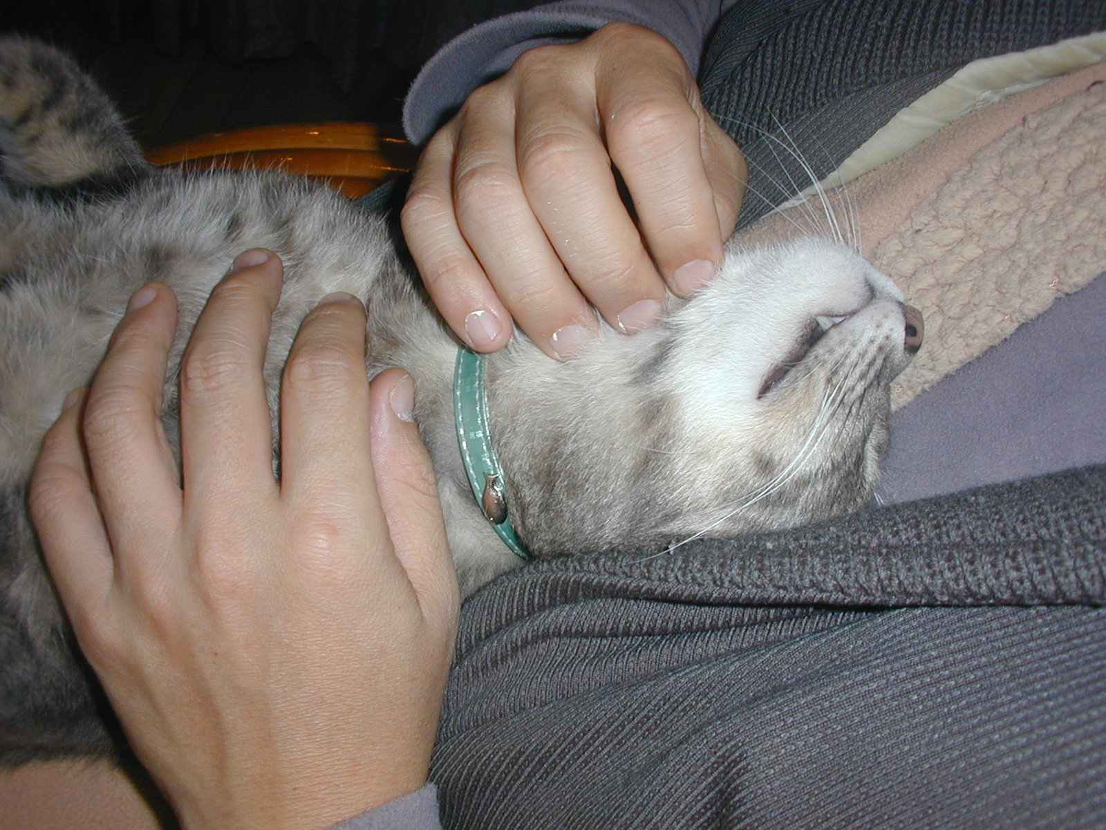 DSCN0002.JPG
