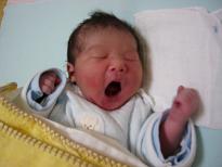 うまれたて、眠りにつくタラちゃん。