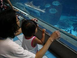 須磨水族館