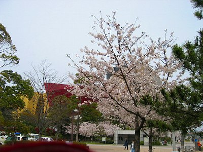 0406 009.jpg