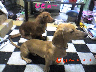 目の先には・・・