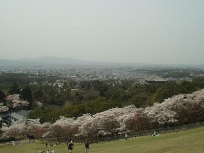 2006040904