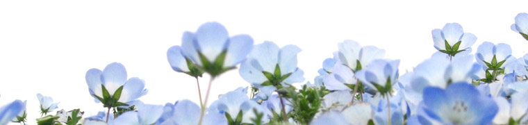 なんとか☆　かんとか☆　子育て Liｆe