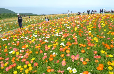 淡路島