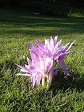 2005-10-30 01:20:53