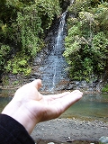 2005-11-21 01:44:42