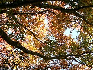 2005-11-21 01:48:23