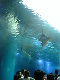2005-08-26 02:02:23