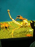 2005-08-26 02:05:07