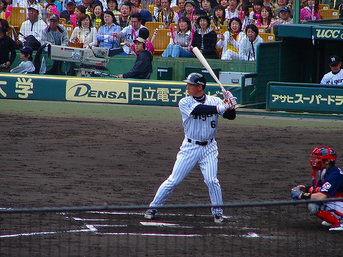 甲子園　金本選手.jpg