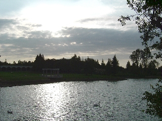 蜻蛉池公園　夕景