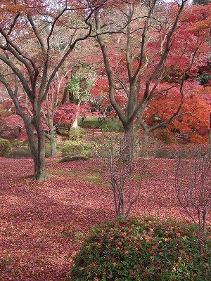 植物園