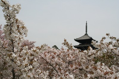 仁和寺