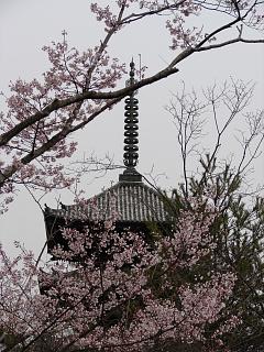 仁和寺五重塔