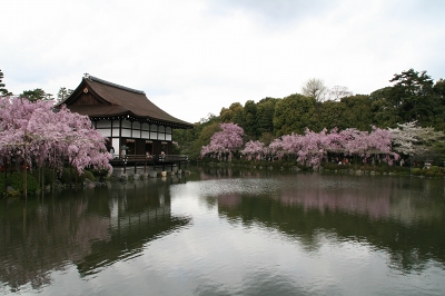 平安神宮 神苑