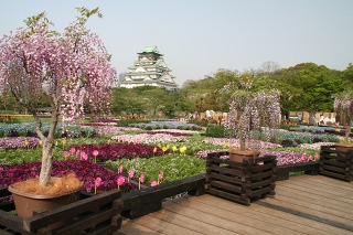 花・彩・祭おおさか２００６ もてなしの花座敷