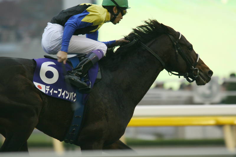 20061126ディープインパクト0006.JPG