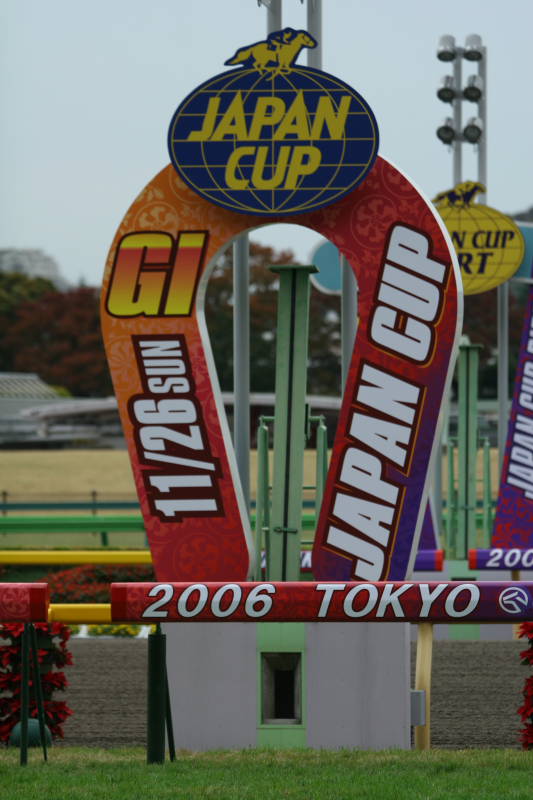 20061123ジャパンカップウィーク0002.JPG