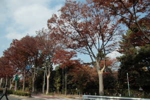 2005-11-24 22:57:56