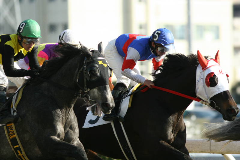 20060125川崎競馬場（南関東トップ３0002）.JPG