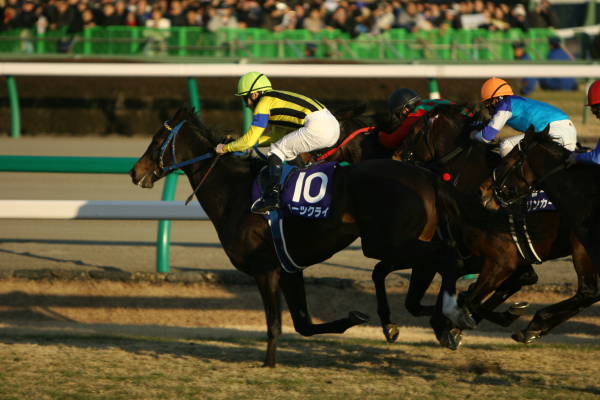 20051225有馬記念0004.JPG