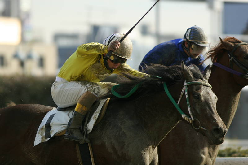 20060125川崎競馬場（激闘0002）.JPG