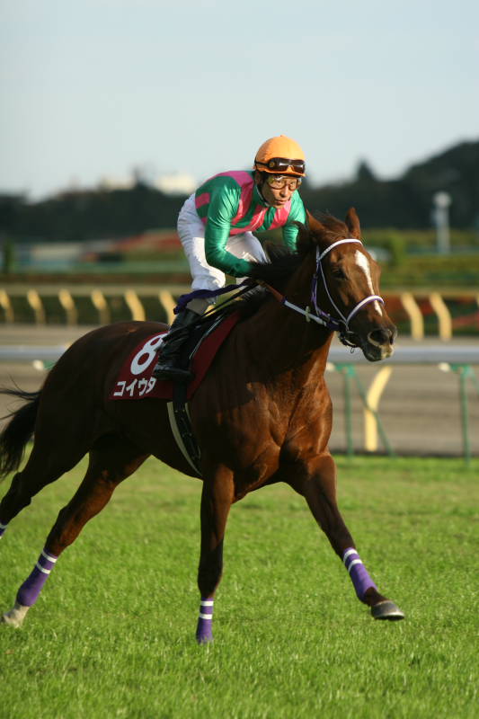 2005-11-16 00:39:55