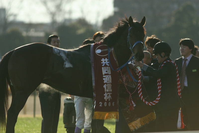 20060205アドマイヤマックス表彰式0002.JPG